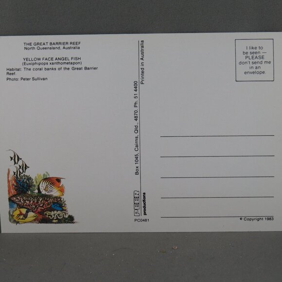 Vintage Postcard - Yellow Face Angelfish Great Barrier Reef - Peer Productions - Picture 2 of 4